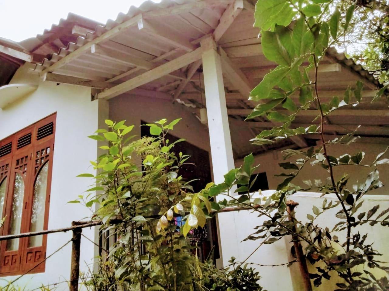 Ella Mount Villa Kültér fotó