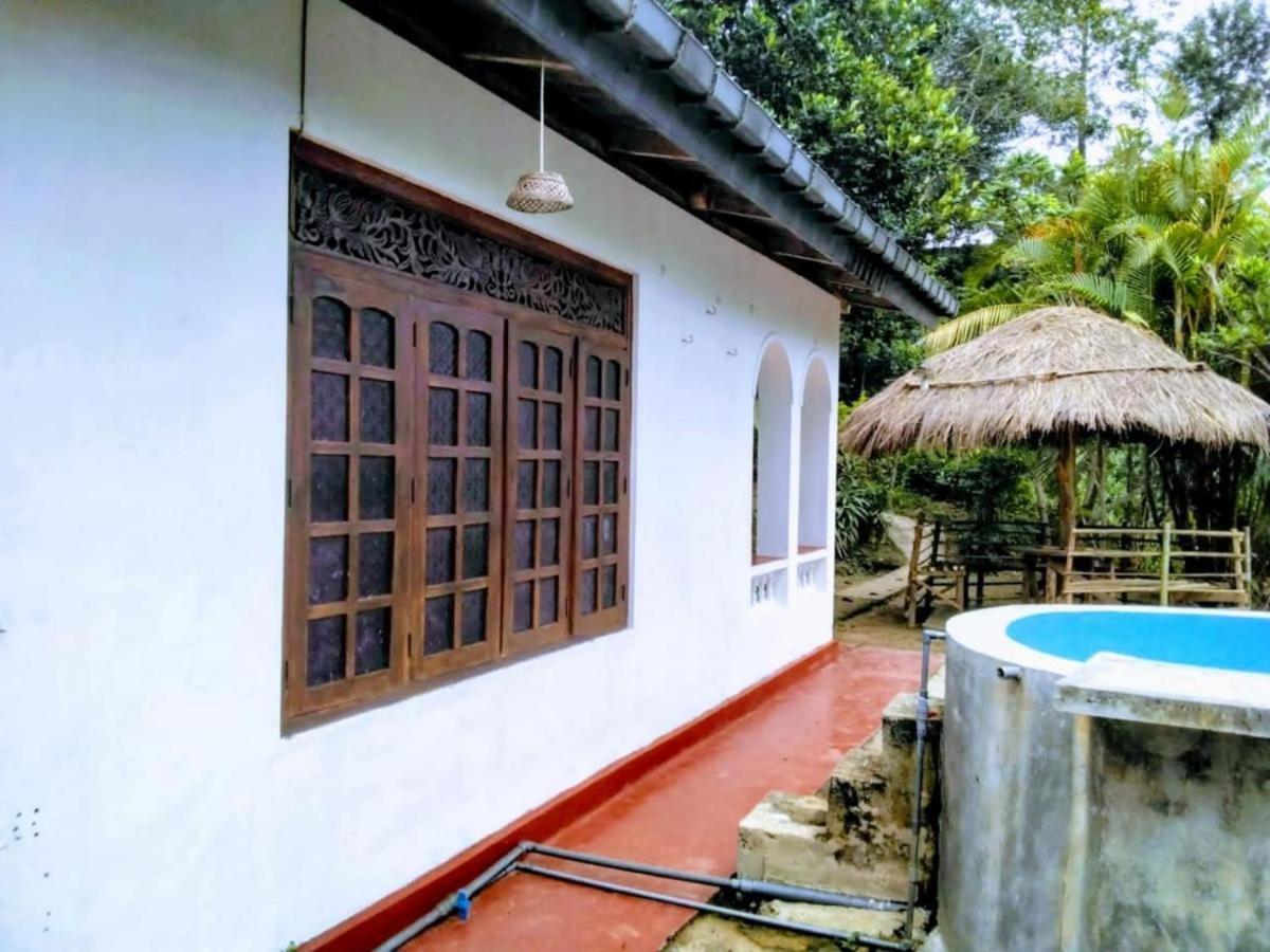Ella Mount Villa Kültér fotó
